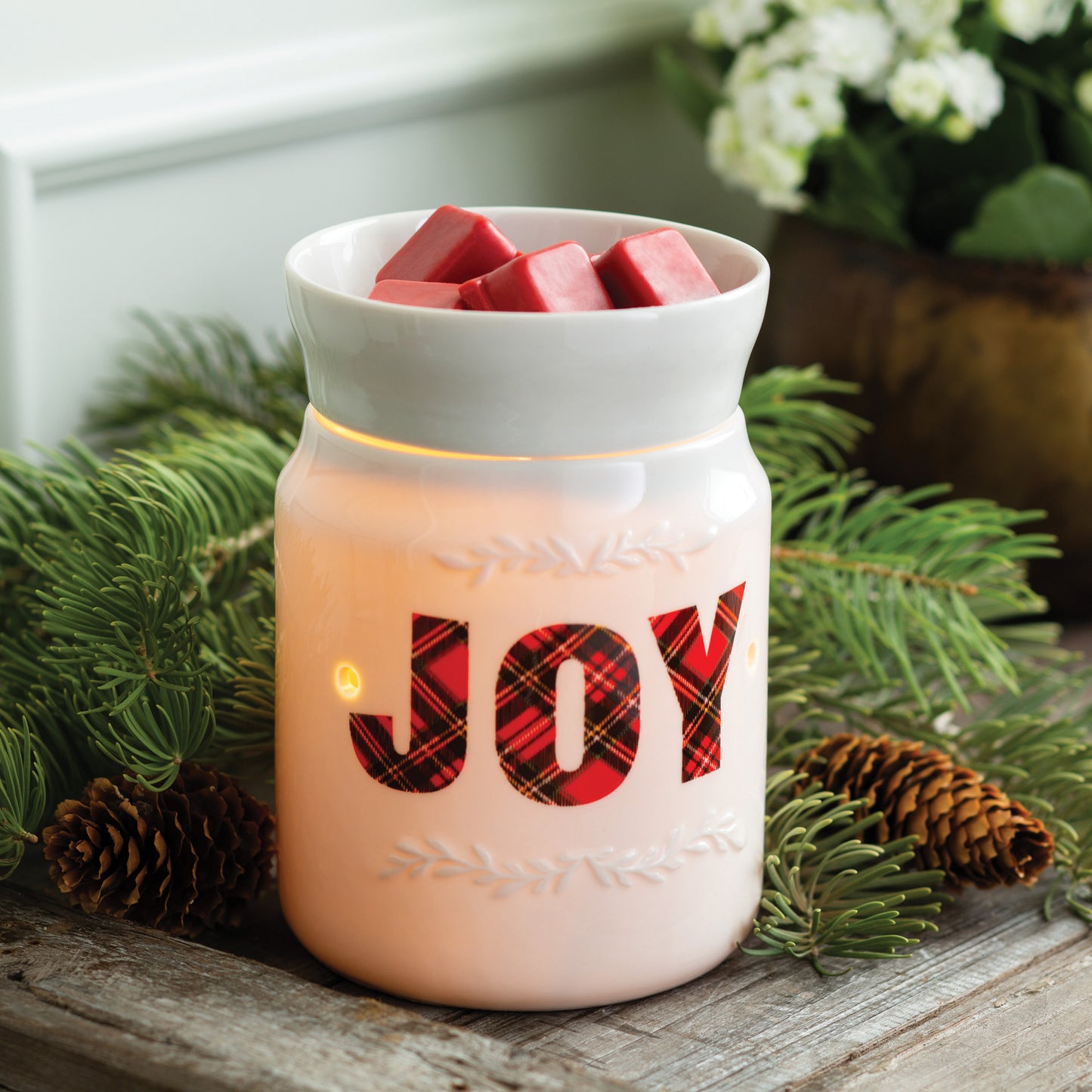 Joy Illumination Warmer